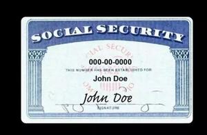 "Chinese old person " the important matter on bo