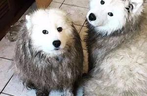 The Ma Ye that raise Sa must susceptive 6 things, 