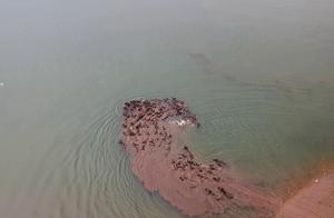 Fill south Sichuan: 100 Niu Du rivers crossed the 