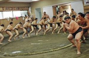 Japanese sumo hand is true the life, eat and drink