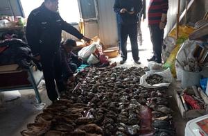 Poach of two men trap is feral protect an animal more than 300 by arrest of punishment of Heilongjia