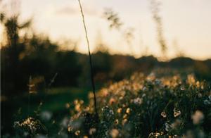 " the strategy " resource of well-known company 