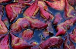 Special local product of Indian general China 