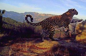 The person is able the skill of the important matt