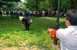 Beijing aunt park digs bamboo shoot 60 are punishe