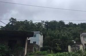 All and 7 years old male child murder by hall elde