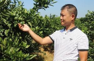 Do not have shortcut successfully, do poineering w