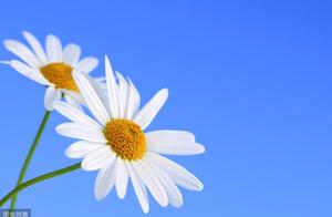 Understanding is a kind of happiness, wanting to understand is a kind of state of mind