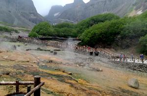 Immense forest of bottom of cereal of slope of north of long white hill hides natural secret, accumu