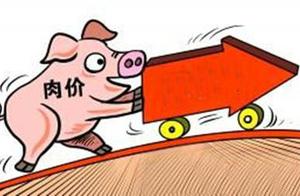 China cancels pork of 3247 tons of United States to import order for goods, netizen: American is sur