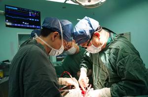 Head of traffic accident of 20 years old of youths dies, domestic person makes a decision, helped 7