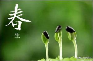 形容“生命力旺盛充满活力”的四字词语是什么