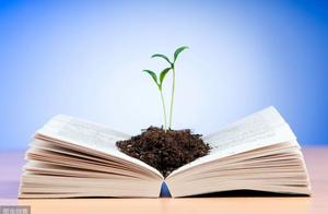 Case | Tianjin investigates and deal with sb one c