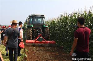 None give the impression of weakness! Nonghaha com