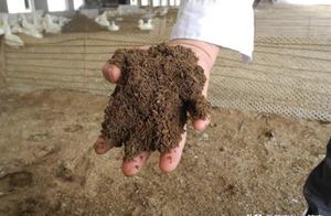 Organic fertilizer is indispensable to agricultura