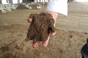 Organic fertilizer is indispensable to agricultura