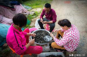 What this is called to come from hell is delicate,