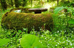 Epigenesis of close down of a beauty spot in remot