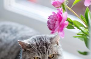 Novel: [If you cannot be communicated,night of cel