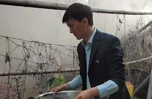 Poplar garrulous ask for trouble! Here on fire, th