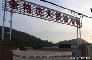 Early big fruit appears on the market, market of Z