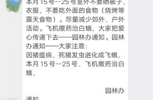 The net is passed " evolution of bug of hair of p