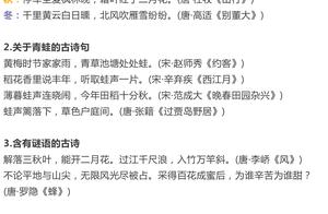 语文提纲