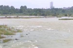 The fish is scooped up in man wadi, fall into water carelessly, place favour rescuing team trains ar