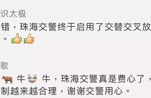 7 big question solve lamp of ground of channel of hill of Zhuhai board camphor tree, look to also no