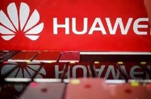 China it is to lodge a complaint is in the beauty, beijing University professor exits IEEE to make u