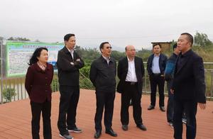 Deputy office of municipal finance hall grows Xi Hongkang to guide survey group to arrive unconsciou