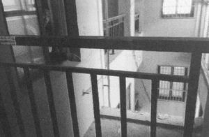 15 years old of teenagers rape 8 years old female child hind, push its from 25 buildings, obtain a b