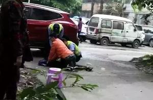 Tsinghua doctor beats dead roam about the dog is o