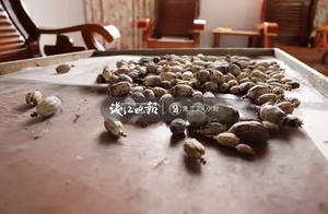 Live in villa of the 600 court that make the same score rice! Zhejiang often bilks bout home, the se