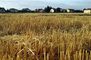 Female occurrence ectopic pregnancy, matter with t