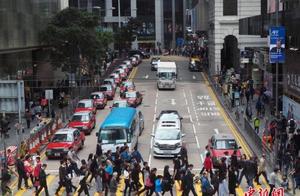 Hong Kong investigation: 8% suffer the person that