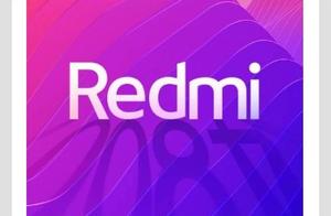 The reverse side of red rice new machine reflects exposure: Rear dactylogram + double photograph