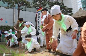 Korea education: Children learns to transplant ric