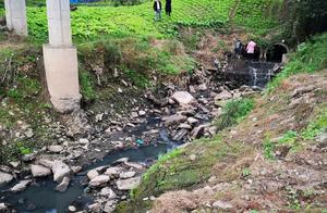 : of group of superintend of central environmental