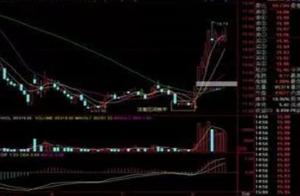 The real situation of a 15 aged shareholders is co