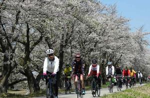 Like to ride 10 reason of travel, and ride 10 pain spot in travel!