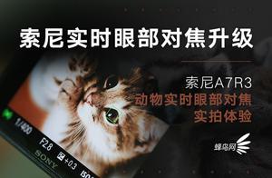 Suo Ni eye controls pair of Jiao Sheng level minis