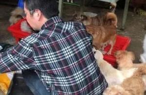 People abandons the mistake of the dog, make him t