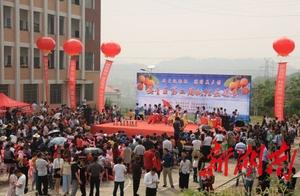 Villager of bumper harvest of happy event of loquat of stone well town is built on become rich 