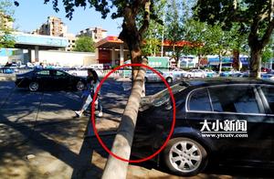 5 class wind of Yantai blow telegraph pole to be bungled in the car contacts 7 branches to be stupef