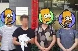 Programmer is to ability of dazzle of younger sist