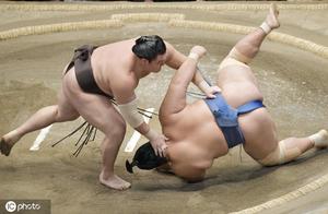 Does Telangpu visit day of Tongan times watch sumo