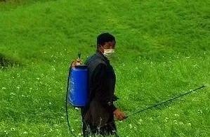 Herbicide " 3 dozens 3 do not hit " what meaning