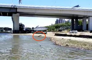 Doubt is like drown! By the side of river of loose riverside big bridge, one man body is salvaged to