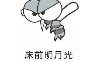 Mosquito-repellent incense ask for trouble | Store